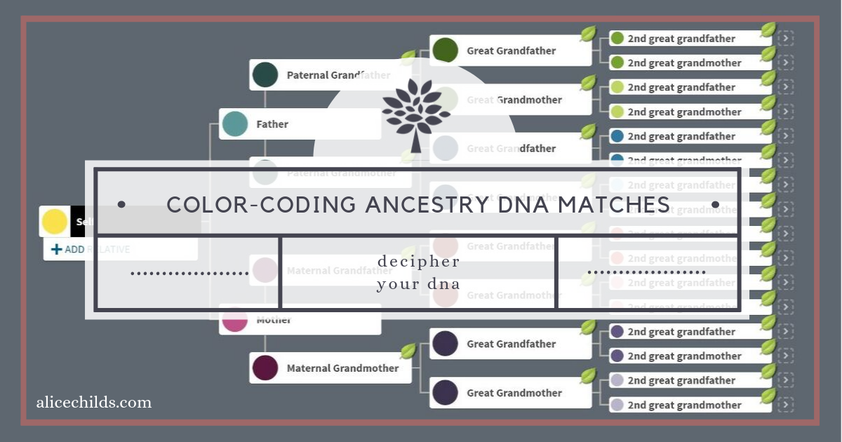 Color-Coding Ancestry DNA Matches – GenealogyNow